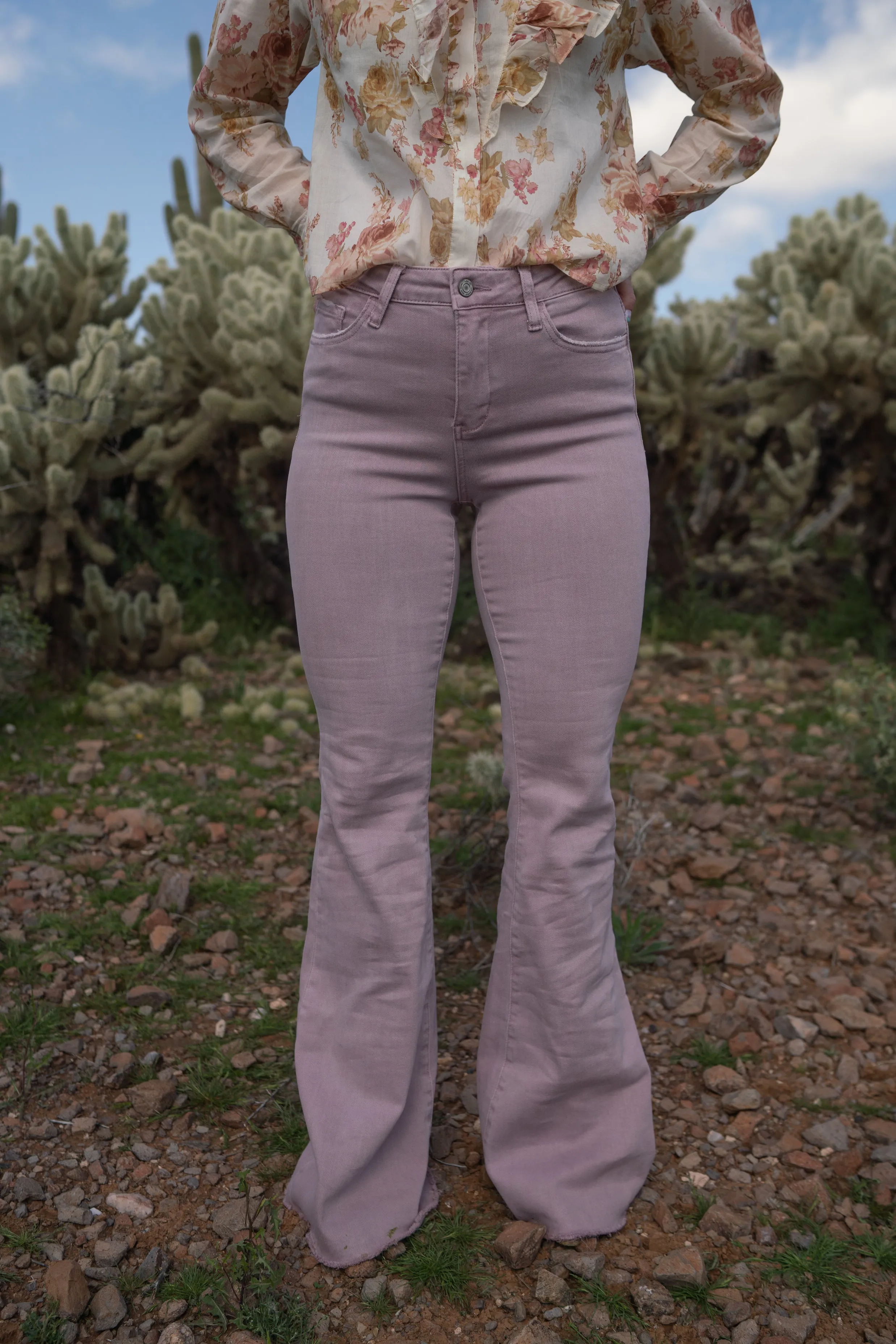 Cover Girl Jeans - FINAL SALE sold by Goldie Lew product image thumbnail 5