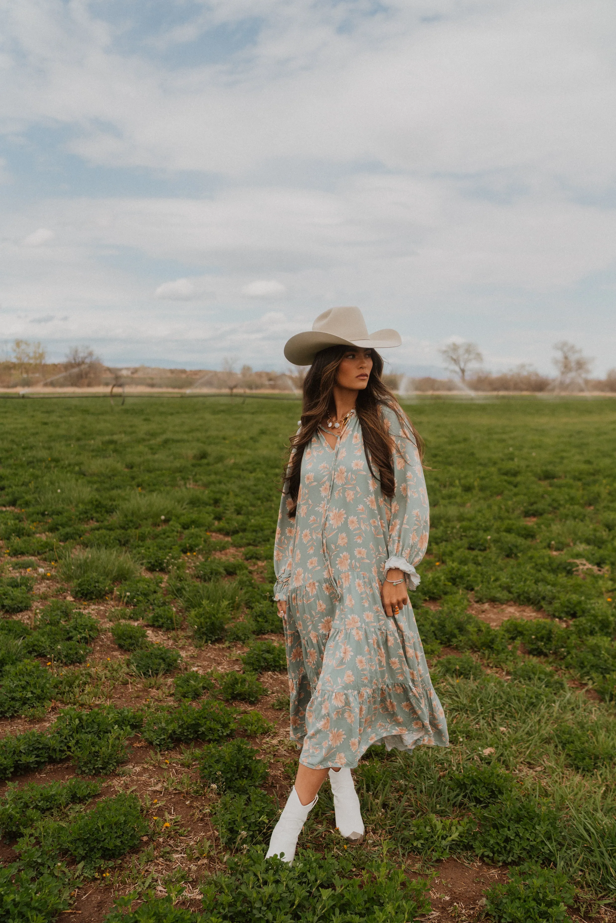 Tiana Dress sold by Goldie Lew product image thumbnail 2