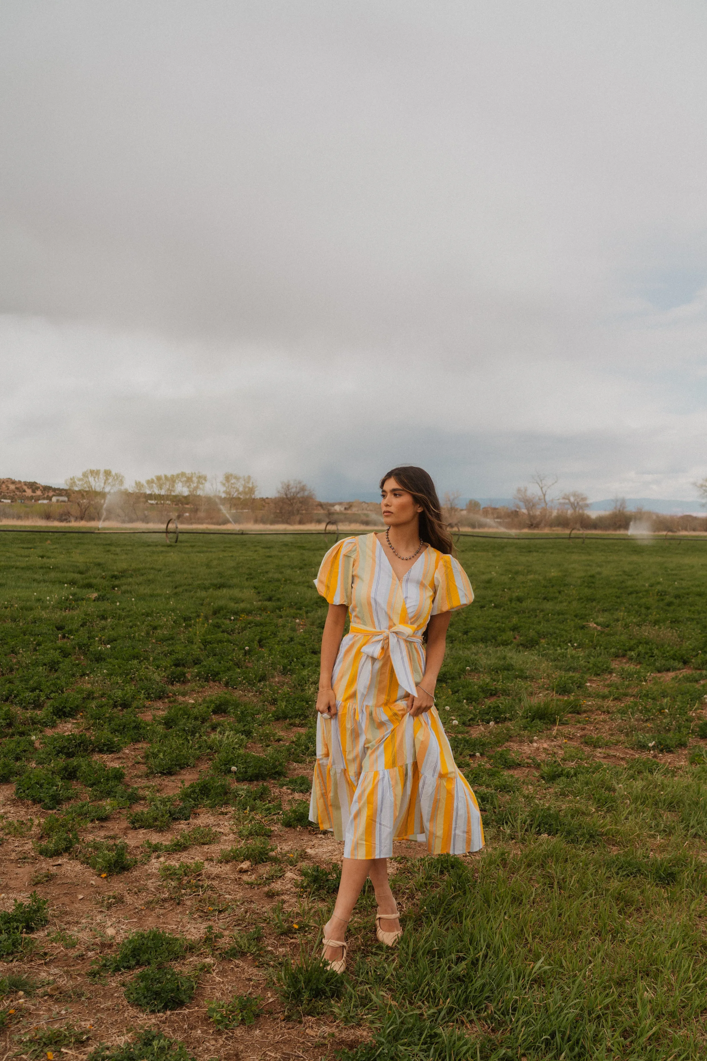 Susie Dress sold by Goldie Lew product image thumbnail 3