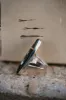 Out of this World Ring - FINAL SALE sold by Goldie Lew