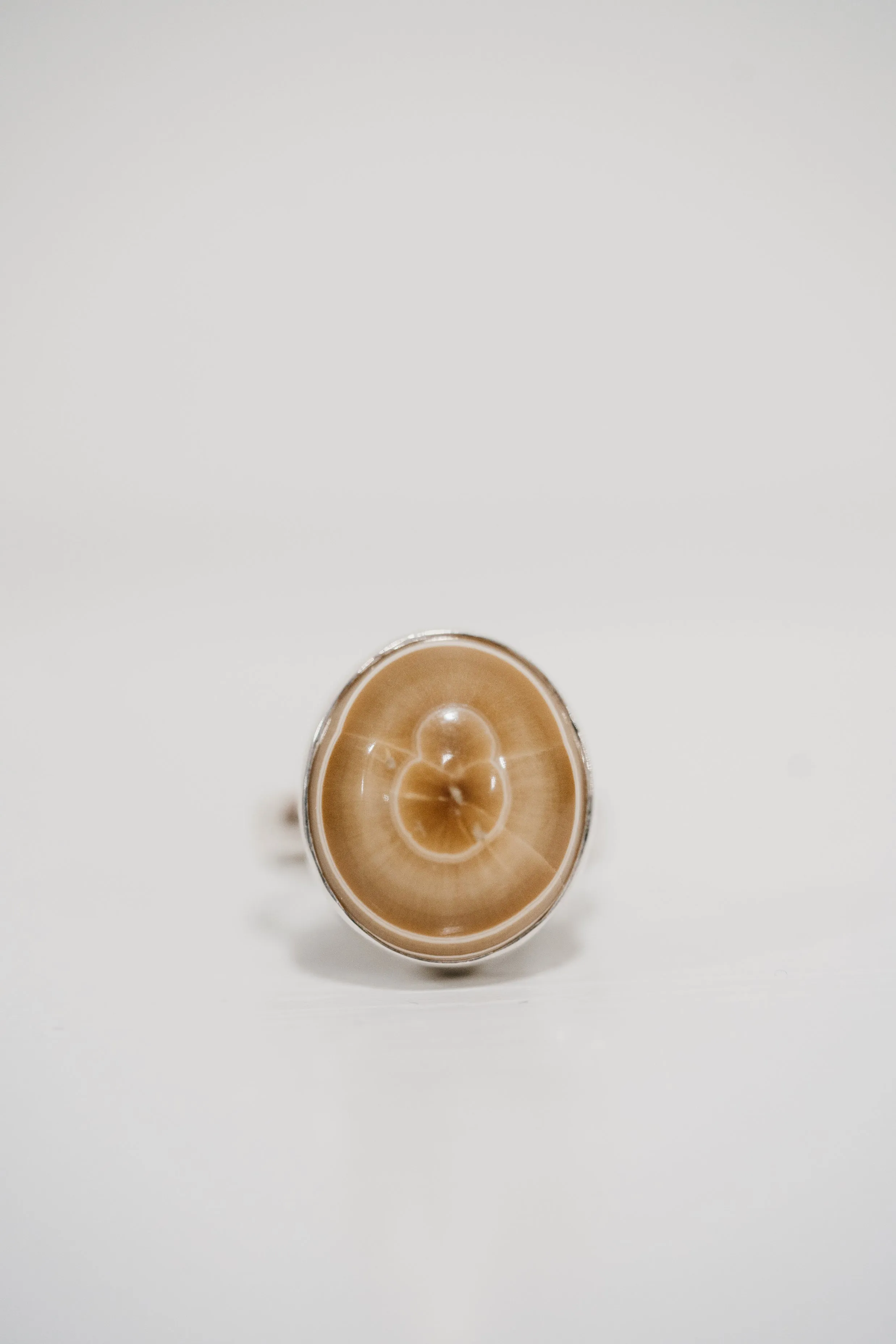 Ashwood Ring | Yellow Eye Agate sold by Goldie Lew product image thumbnail 2