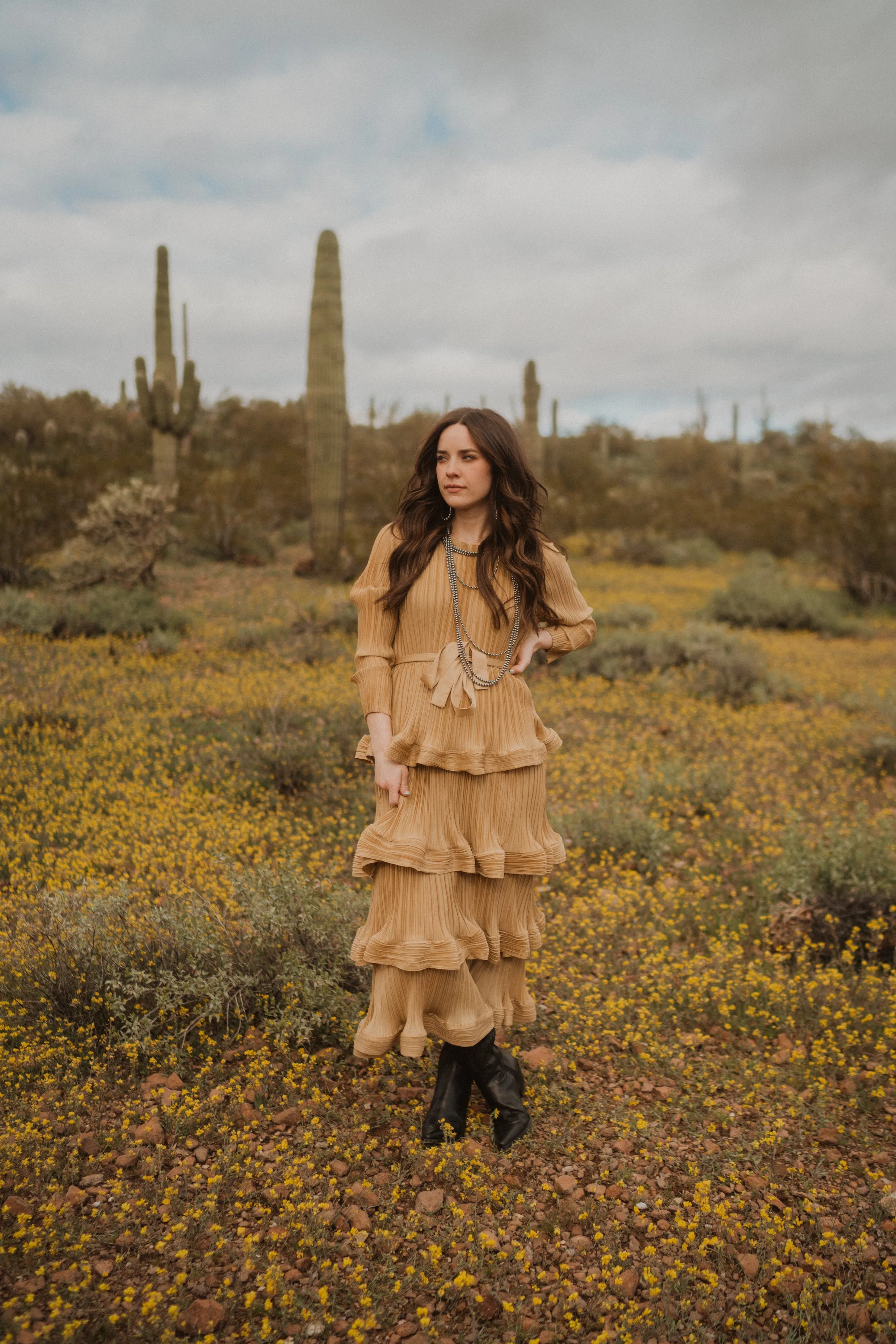 Toby Dress sold by Goldie Lew product image thumbnail 2