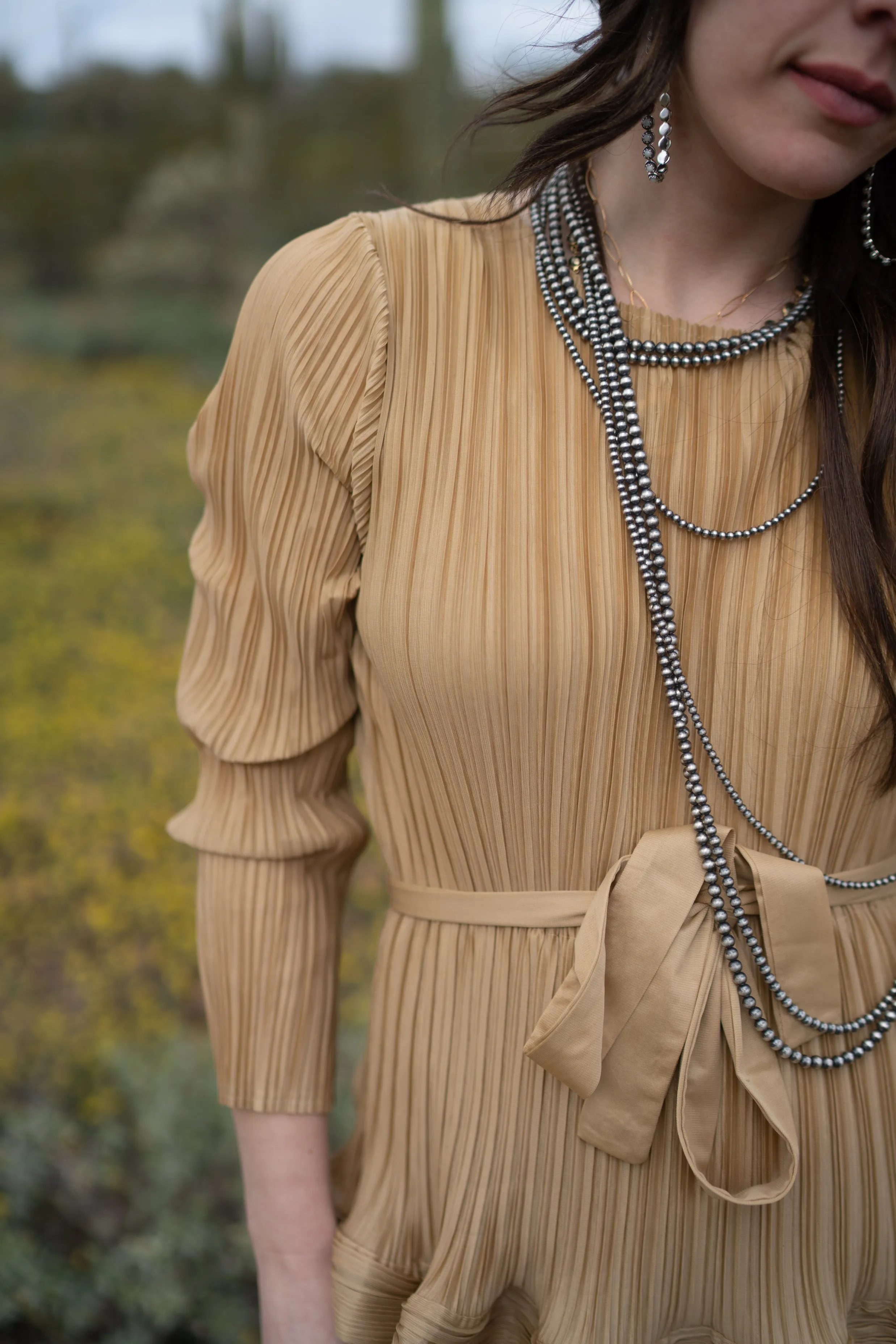 Toby Dress sold by Goldie Lew product image thumbnail 4