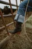 Aries Boot | Black sold by Goldie Lew
