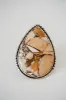 Cecily Ring | Brecciated Mookaite sold by Goldie Lew