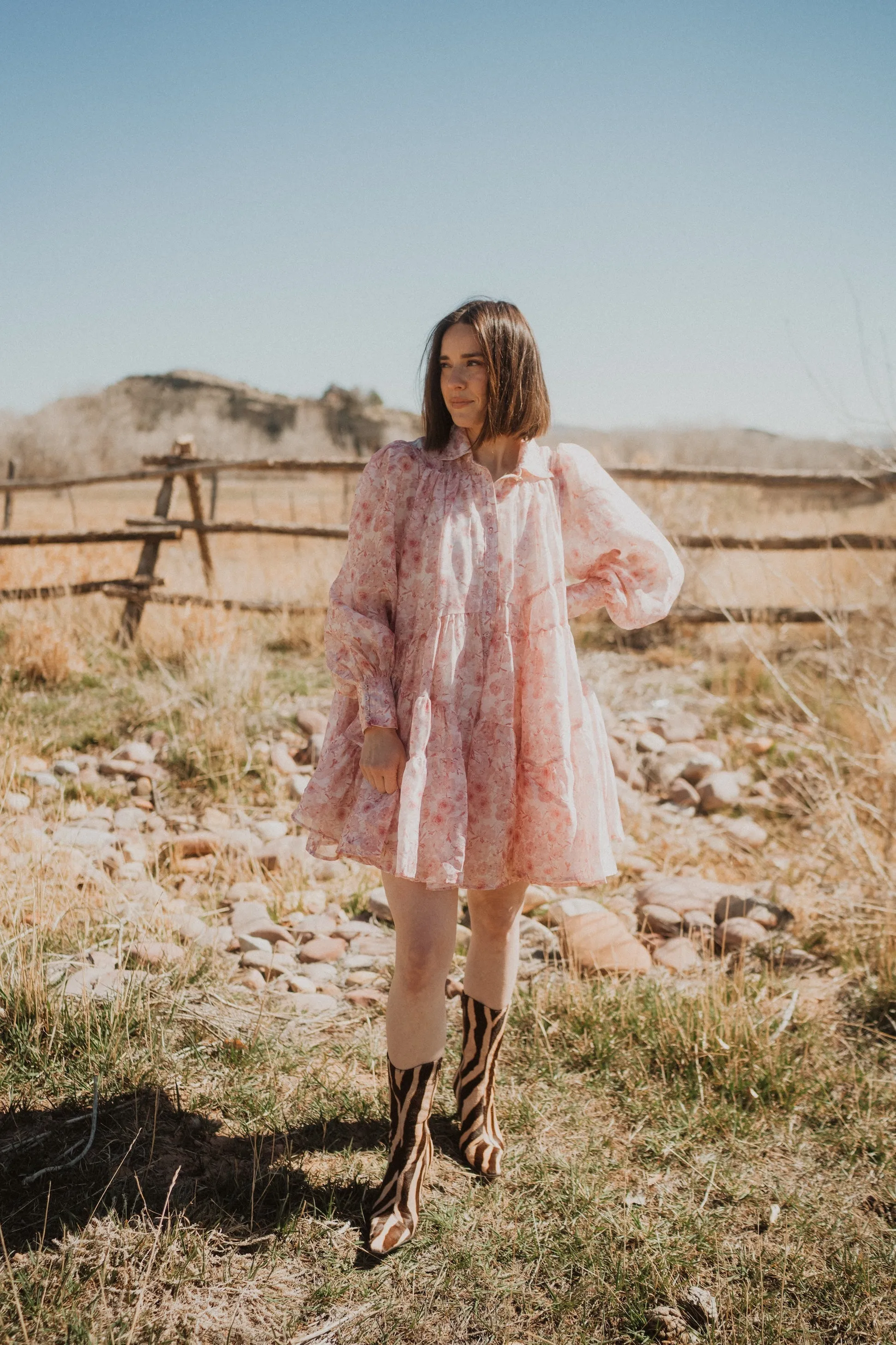 Pretty Thing Dress sold by Goldie Lew product image thumbnail 3