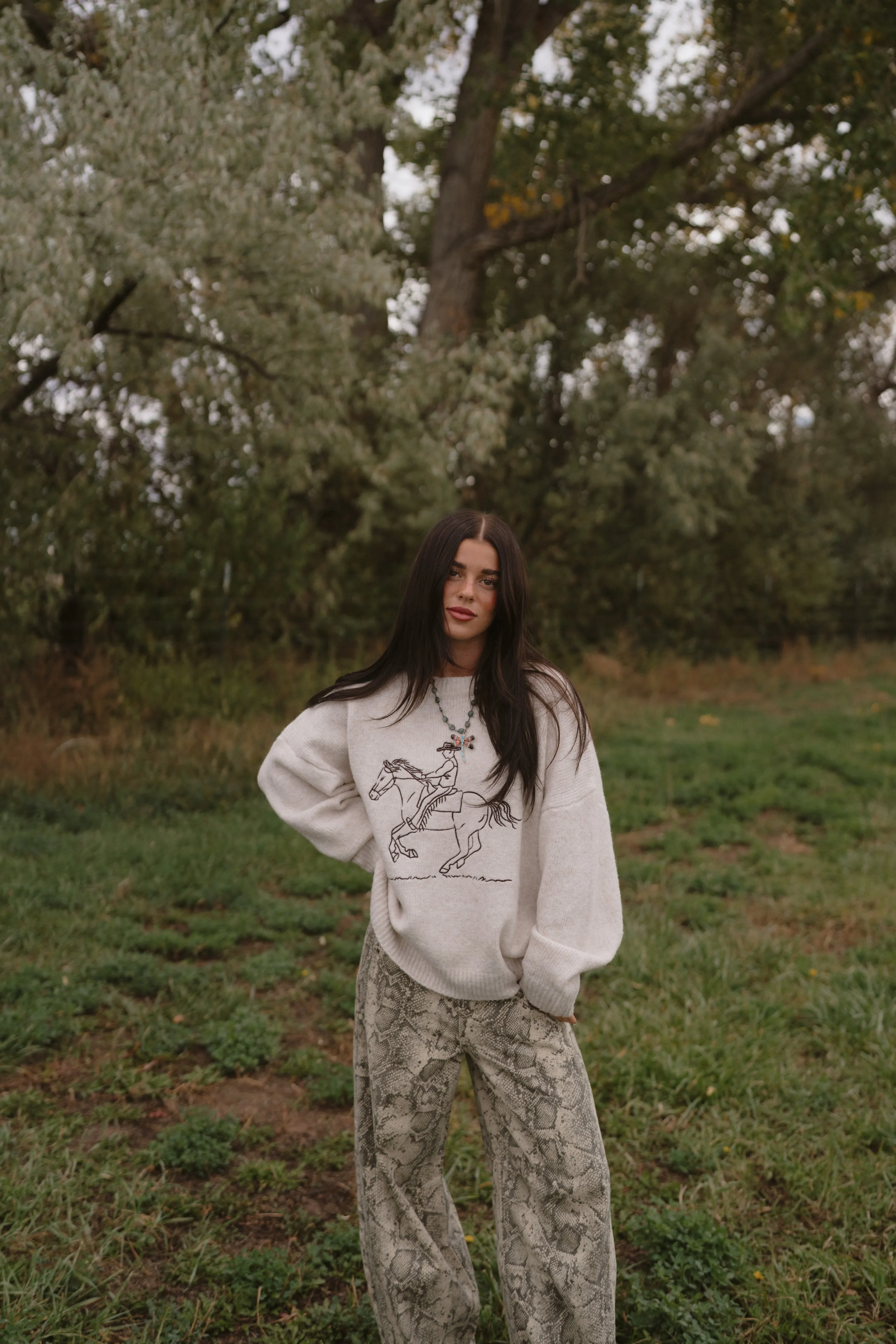 Run Away Cowboy Sweater sold by Goldie Lew product image thumbnail 2