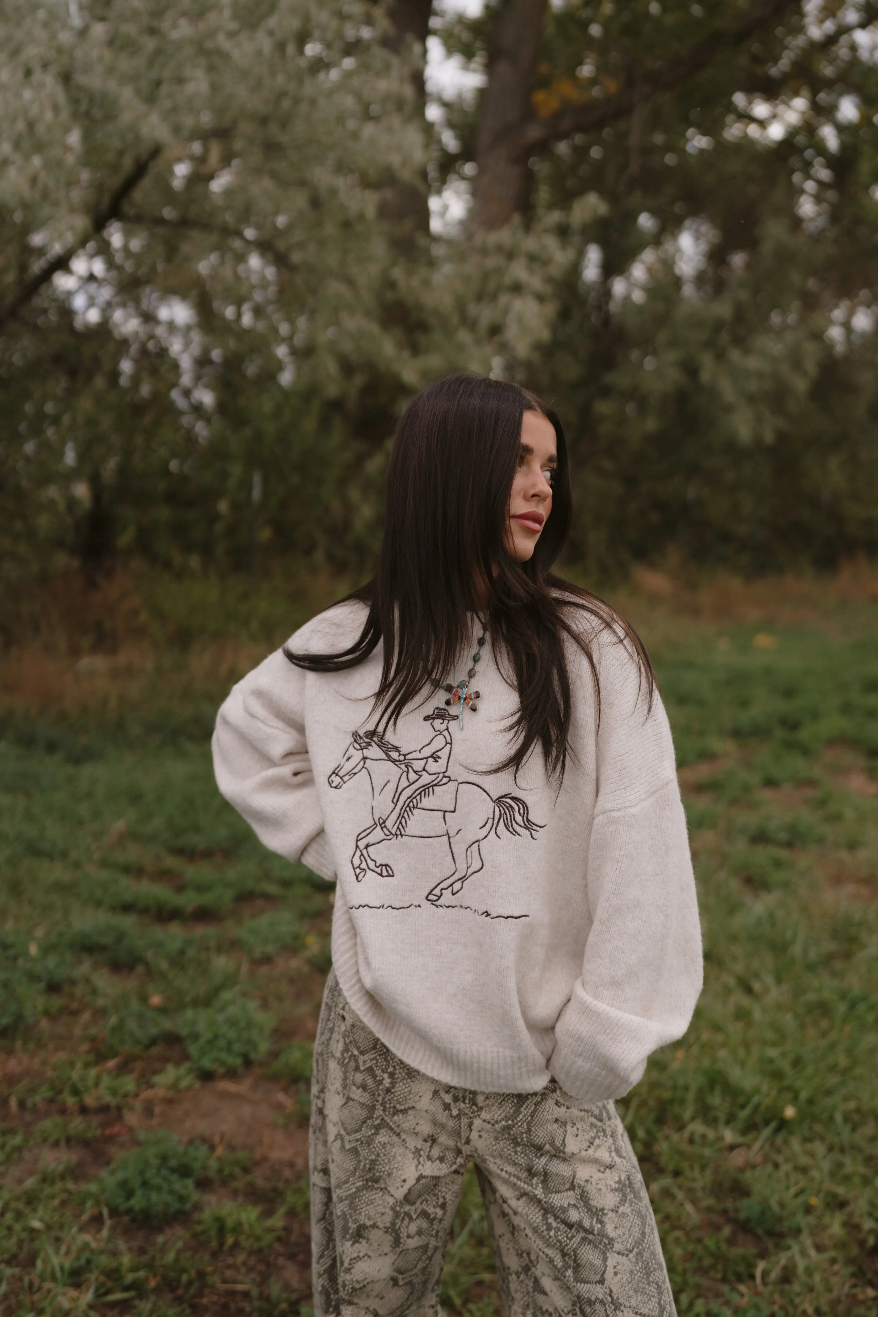 Run Away Cowboy Sweater sold by Goldie Lew product image thumbnail 4