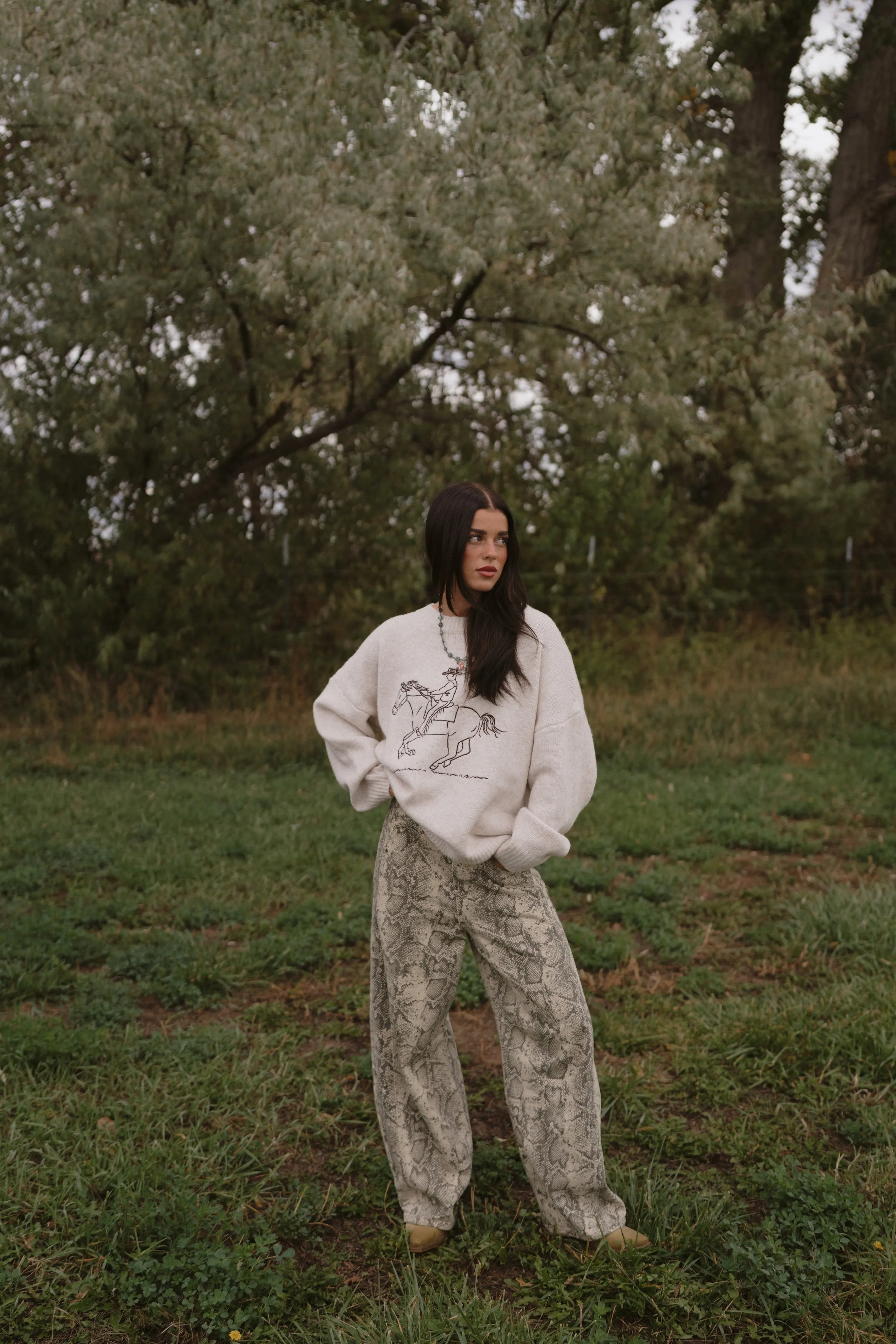 Run Away Cowboy Sweater sold by Goldie Lew product image thumbnail 5