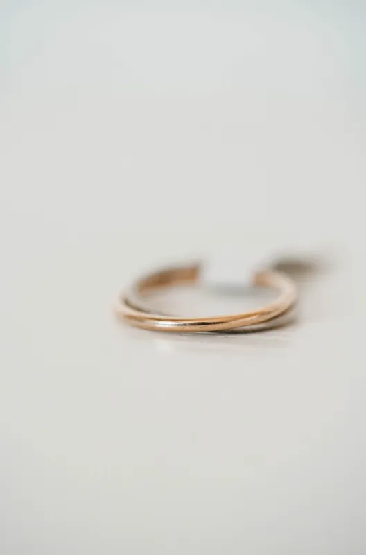 Double Band Silver and Gold Ring sold by Goldie Lew