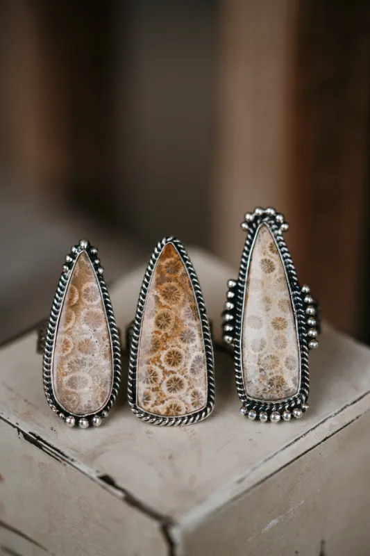 Reba Ring | Fossilized Coral sold by Goldie Lew
