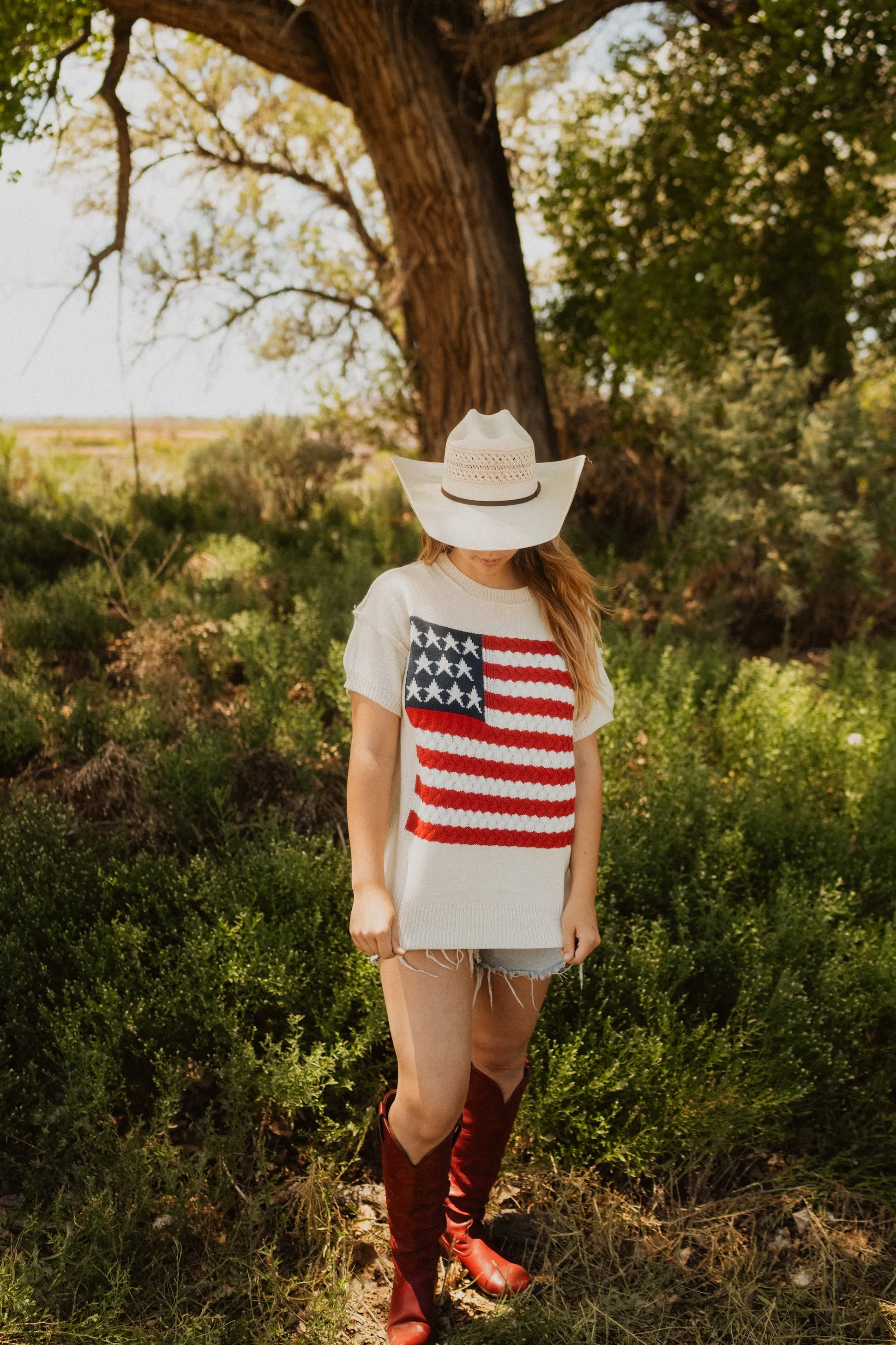 Short Sleeve American Flag Sweater sold by Goldie Lew