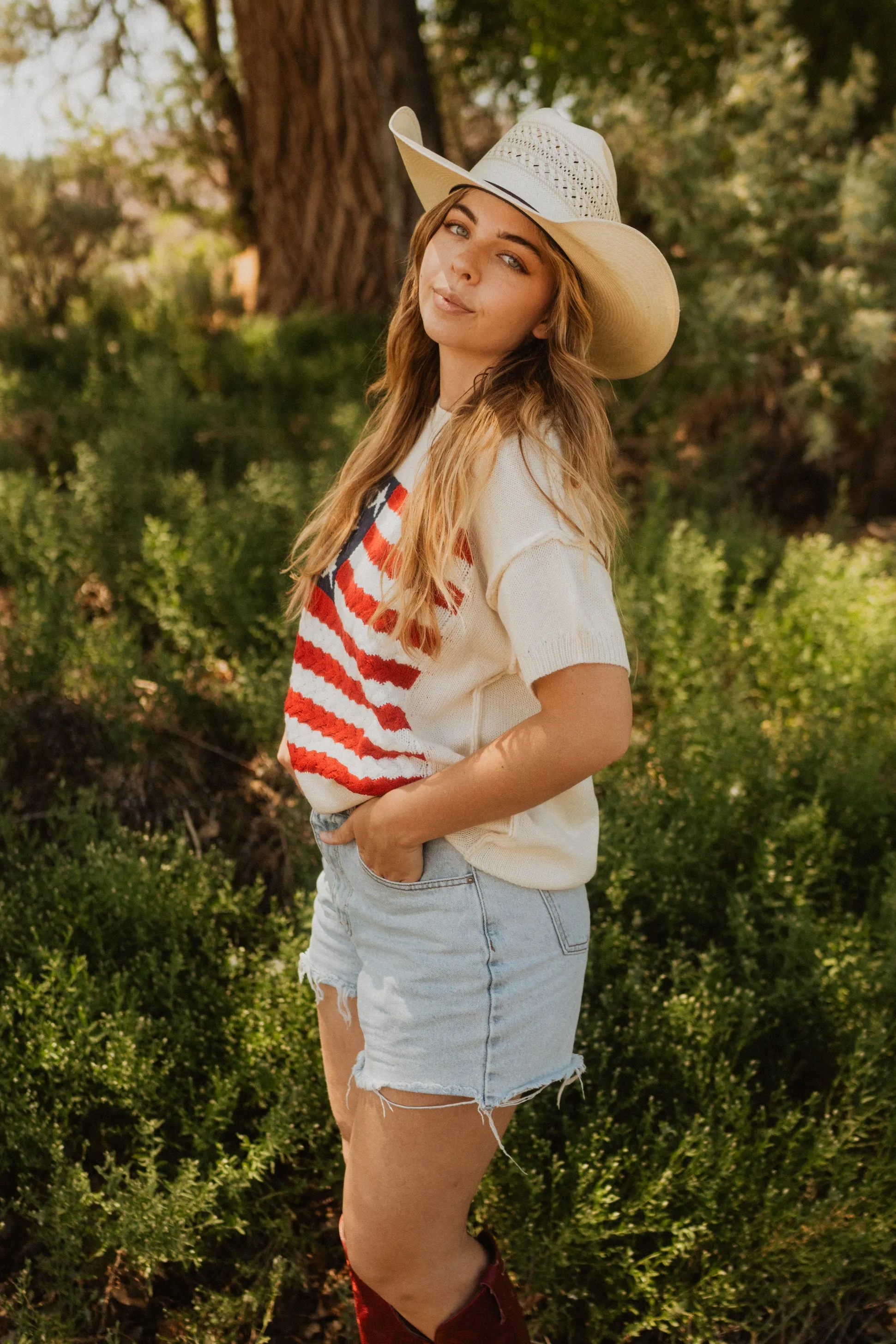 Short Sleeve American Flag Sweater sold by Goldie Lew product image thumbnail 3