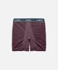 Jetty x Turq Amphibious Performance Briefs - Malbec sold by JETTY