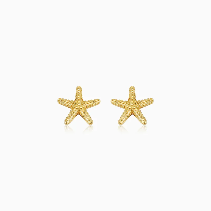 Starfish Studs sold by Oradina