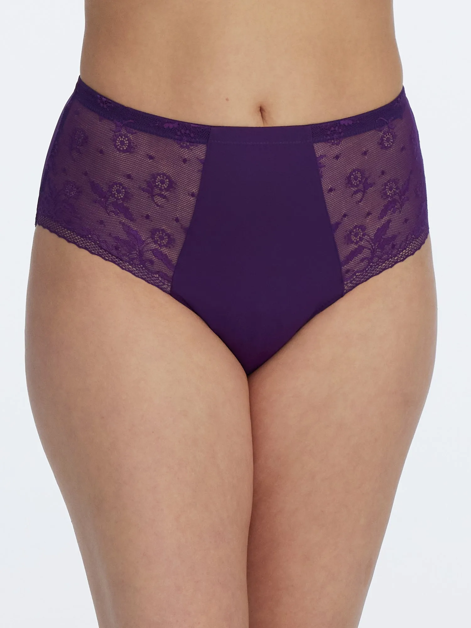 Lacy High Rise Brief - FINAL SALE sold by Skarlett Blue