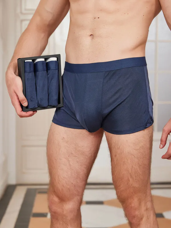 3Pcs Mens 100% Mulberry Silk Boxer Briefs Underwear made by SilkSilky