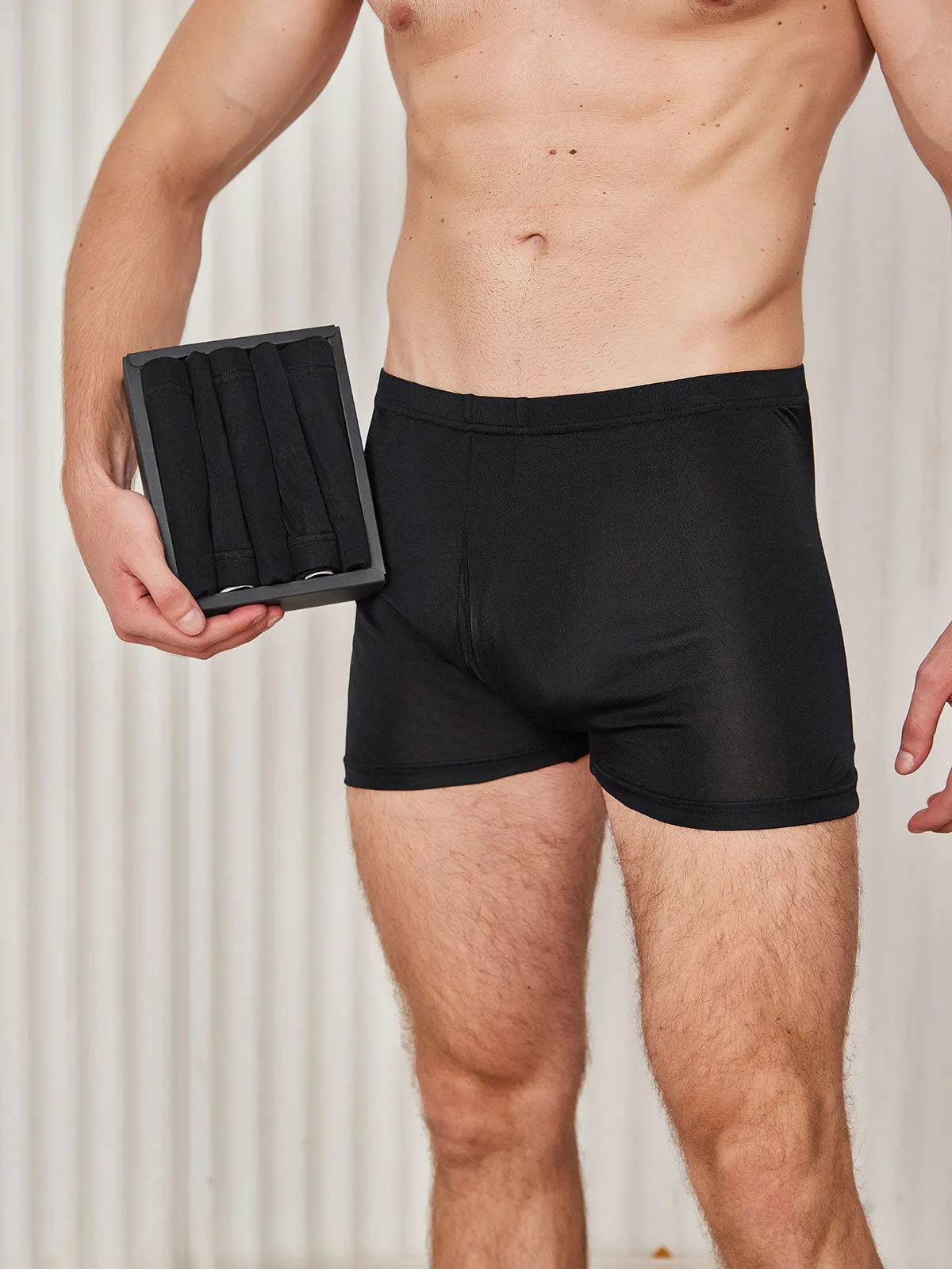 5Pcs 100% Mulberry Silk Men‘s Boxer Briefs with Fly Opening sold by SilkSilky product image thumbnail 5