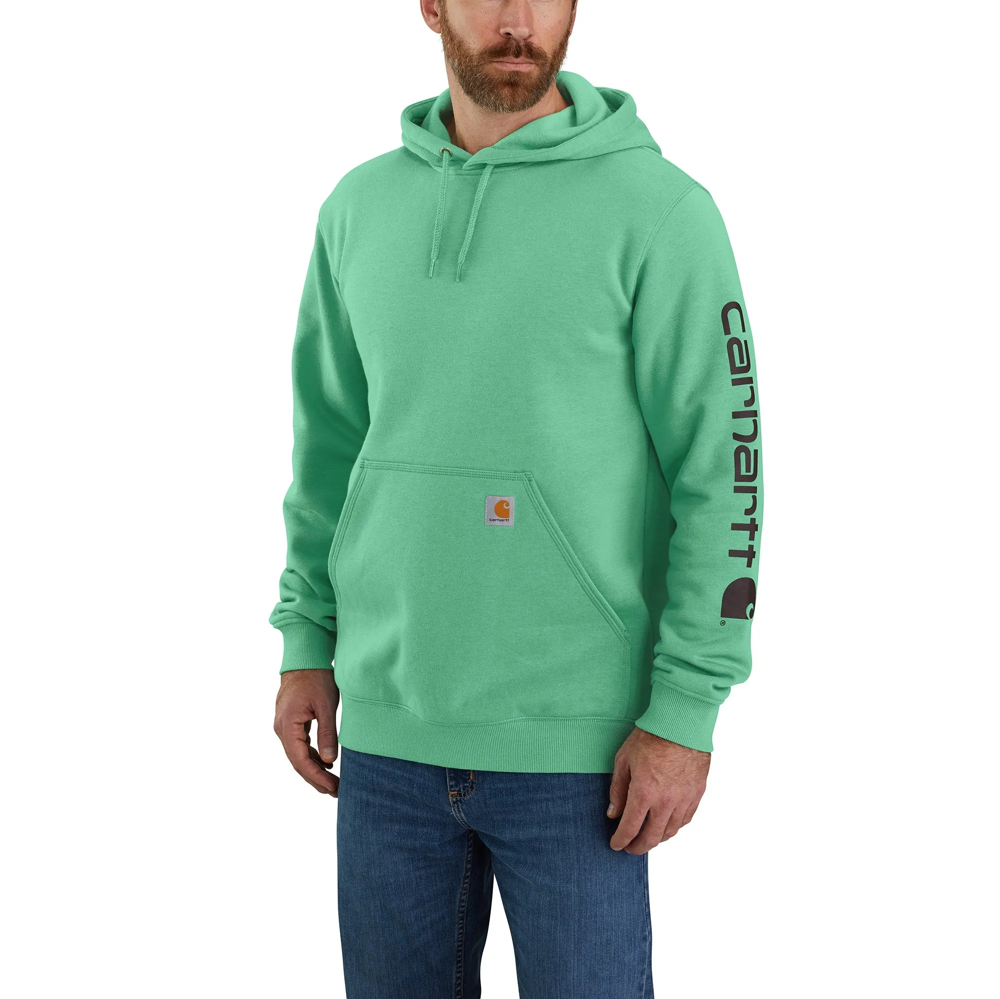 Carhartt Men's Signature Logo Hooded Pullover Sweatshirt_Sea Green Space Dye sold by Work World