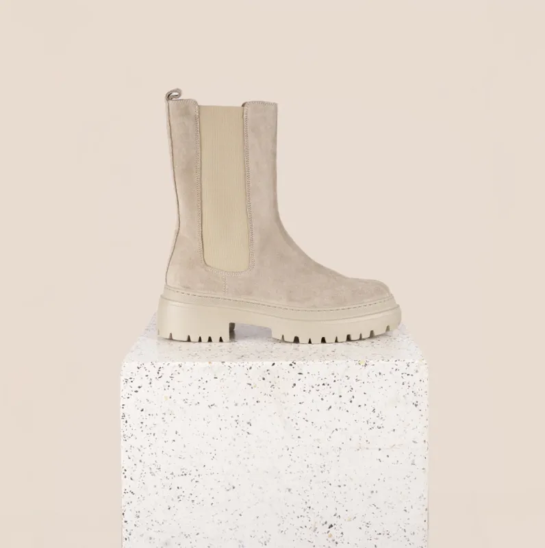 Monza Tall - Oat sold by A.Soliani