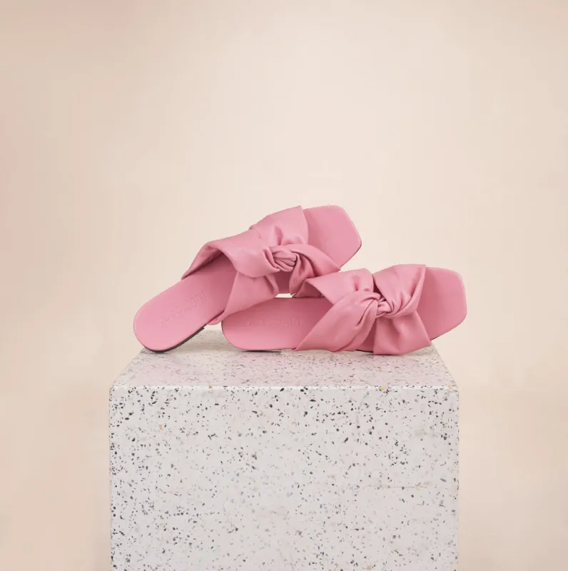 Rodi - Carnation sold by A.Soliani