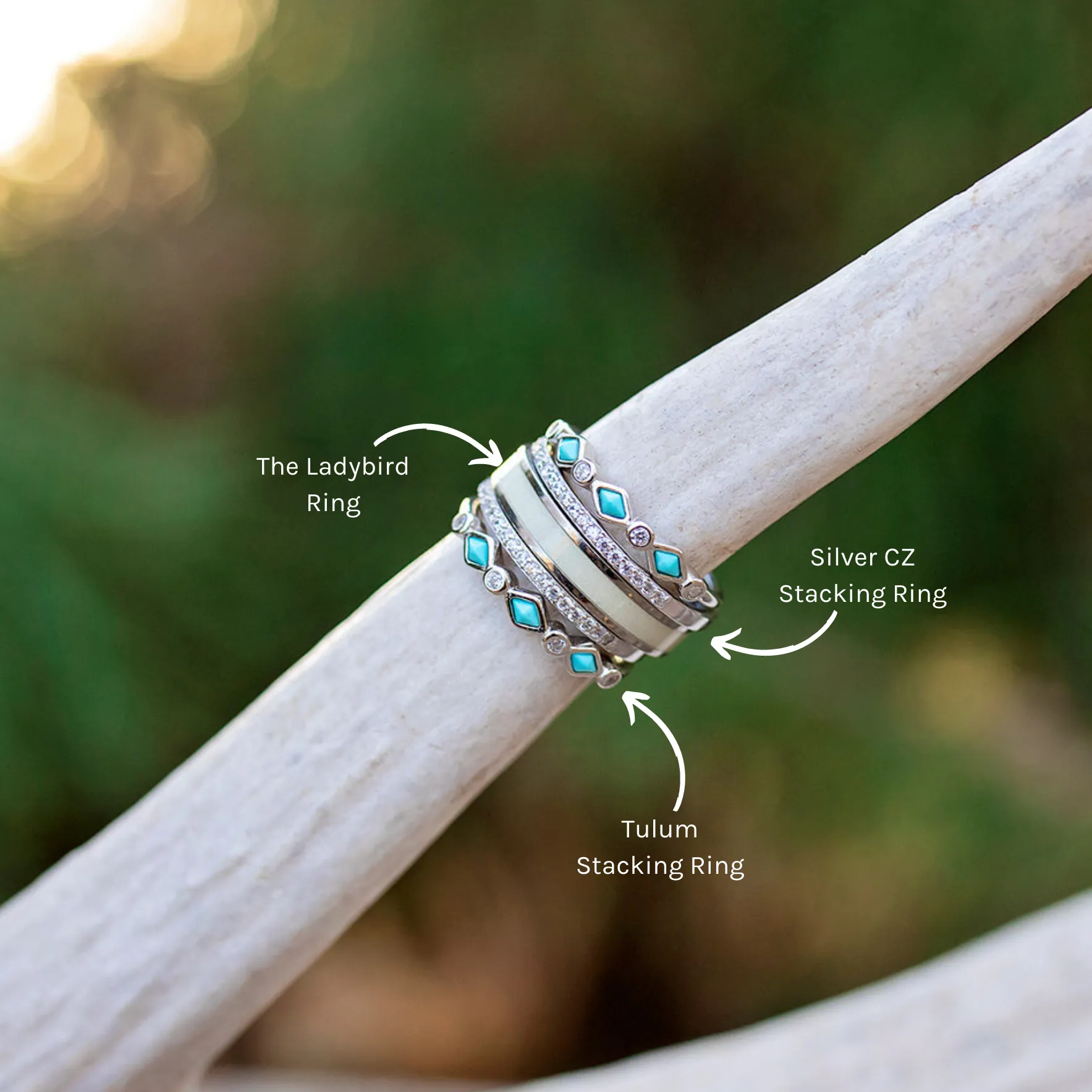 The Ladybird sold by Antler Rings product image thumbnail 4
