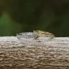 The Baguette Stacking Ring sold by Antler Rings