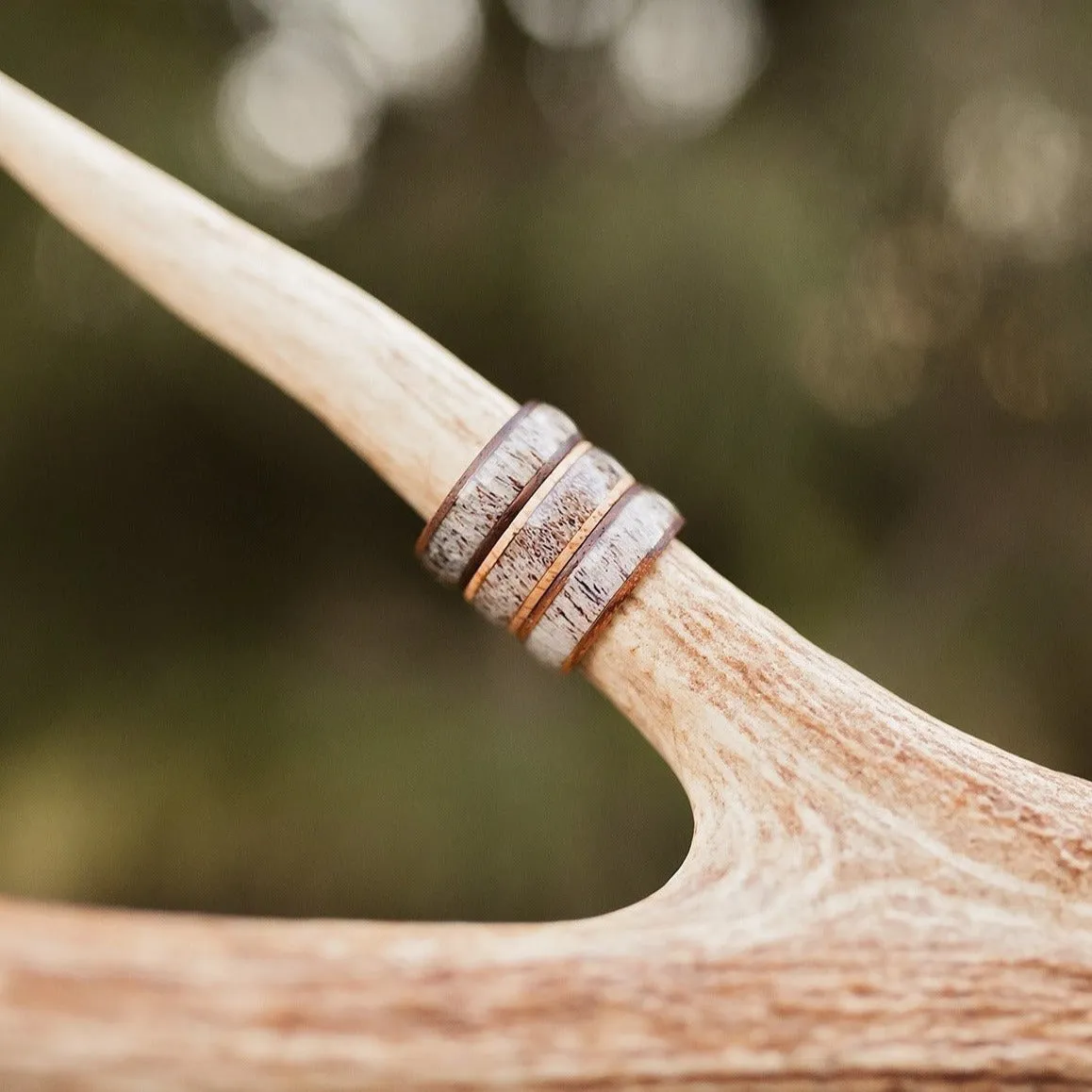 The Jackson Hole sold by Antler Rings product image thumbnail 4