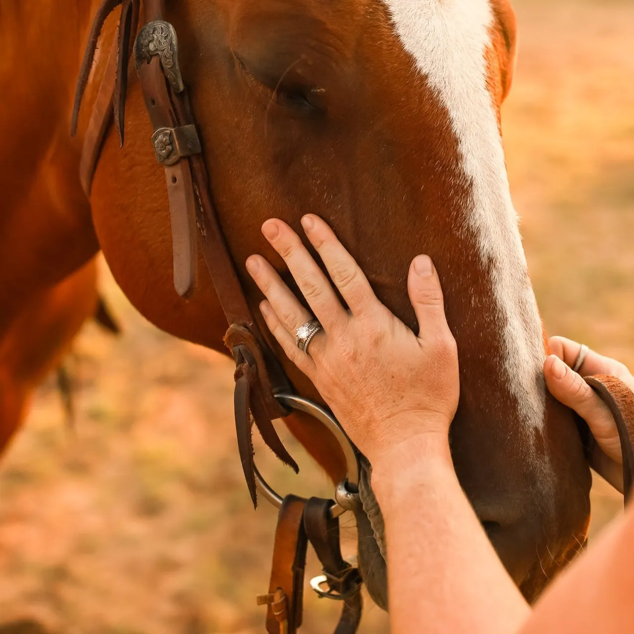 Grand Cascade Wedding Set sold by Antler Rings product image thumbnail 4