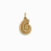 Deep Sea Ammonite Shell Pendant sold by Awe Inspired