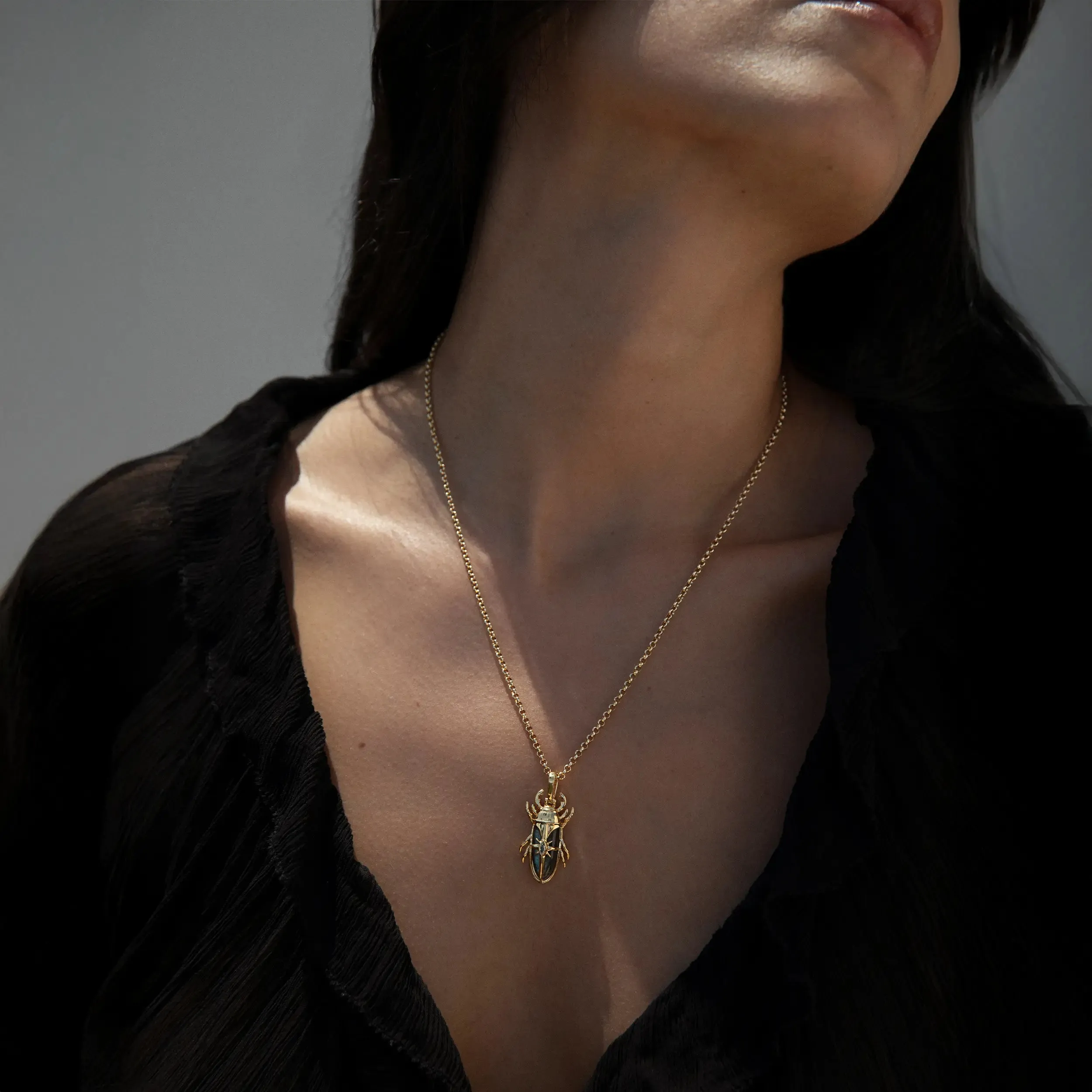 Labradorite Beetle Pendant sold by Awe Inspired product image thumbnail 2