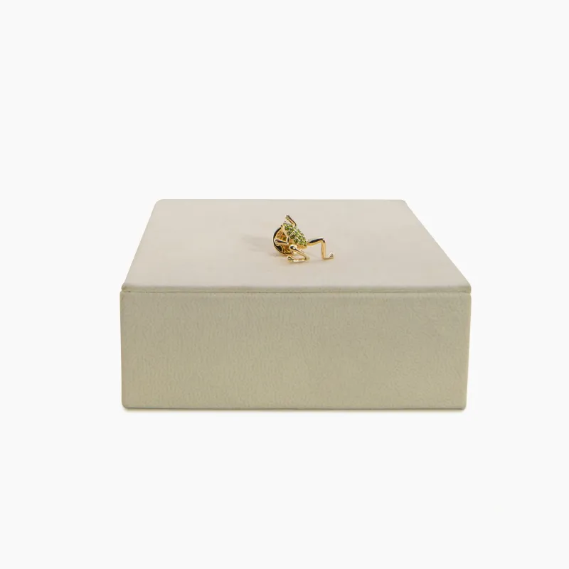 Archive Frog Brooch made by Awe Inspired