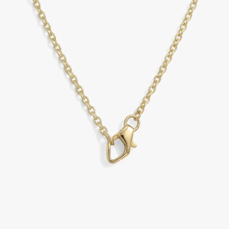 Collector Clasp Necklace made by Awe Inspired