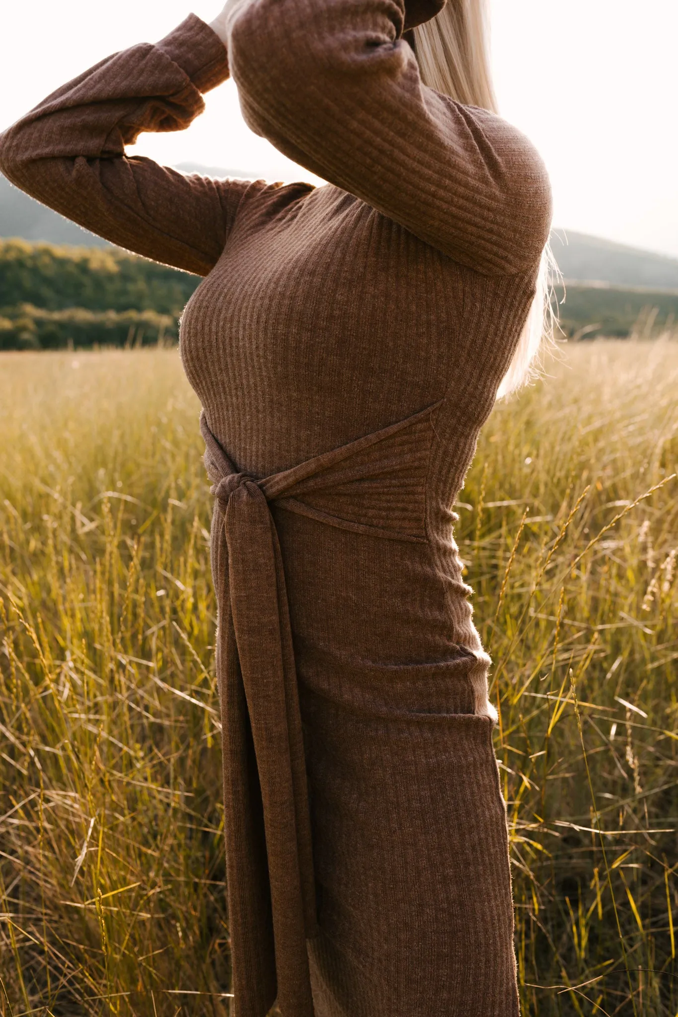 Jensen Dress in Mocha - FINAL SALE sold by Ivy City Co product image thumbnail 4