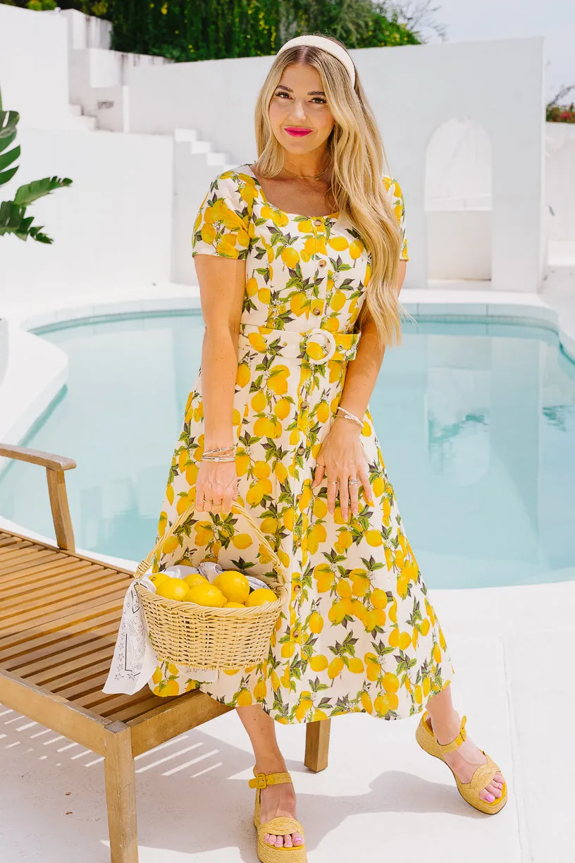 Meredith Dress in Lemons - FINAL SALE sold by Ivy City Co product image thumbnail 5