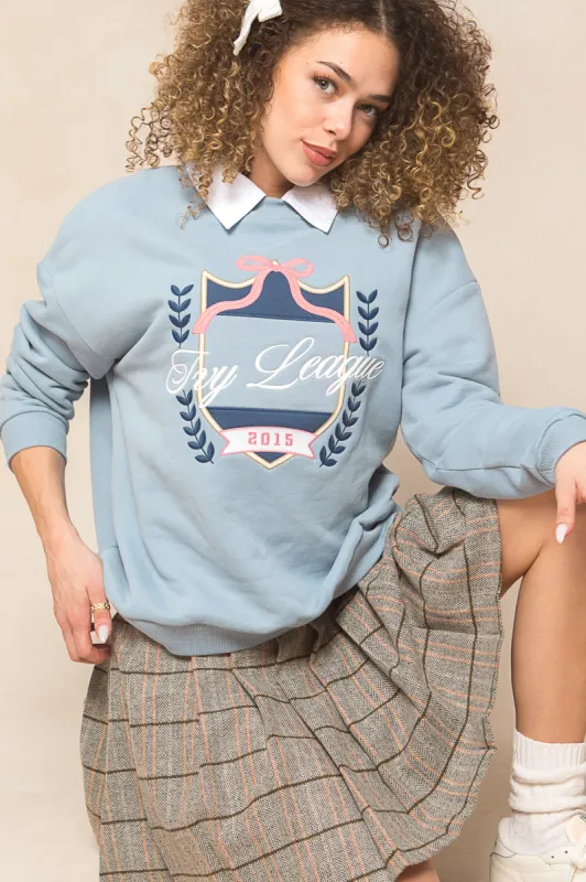 Ivy Embroidered Crewneck Sweatshirt in Blue - FINAL SALE sold by Ivy City Co