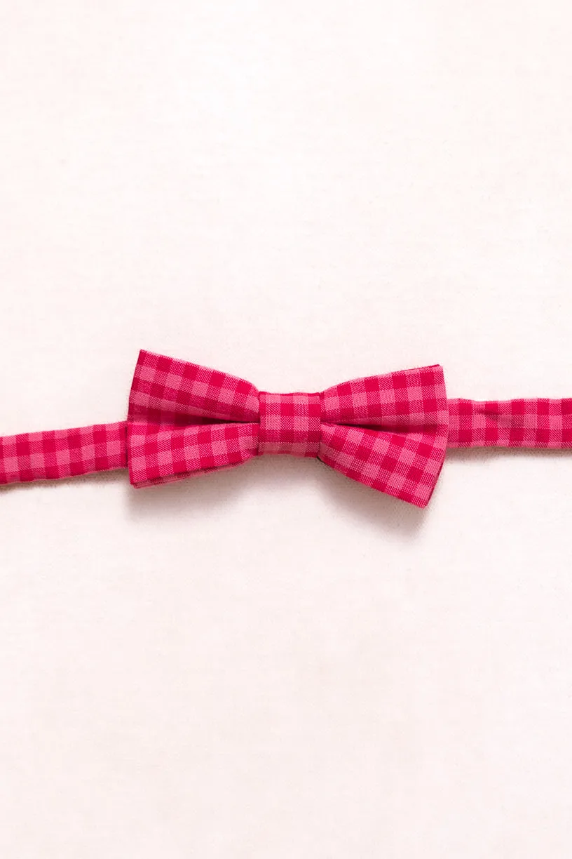 Ties in Hailey Pink Gingham sold by Ivy City Co product image thumbnail 4