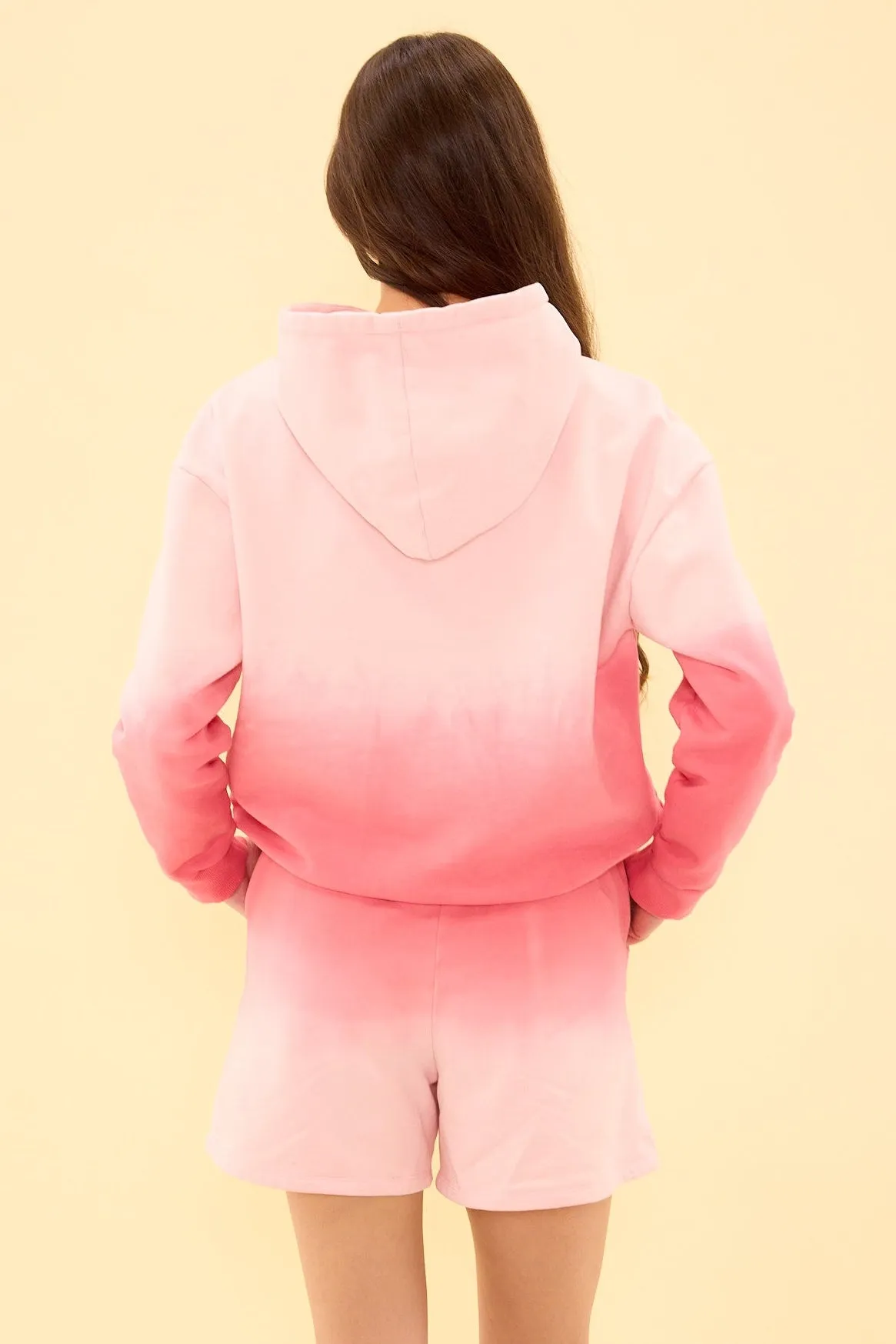 Ash Hoodie in Pink Ombre sold by Ivy City Co product image thumbnail 4
