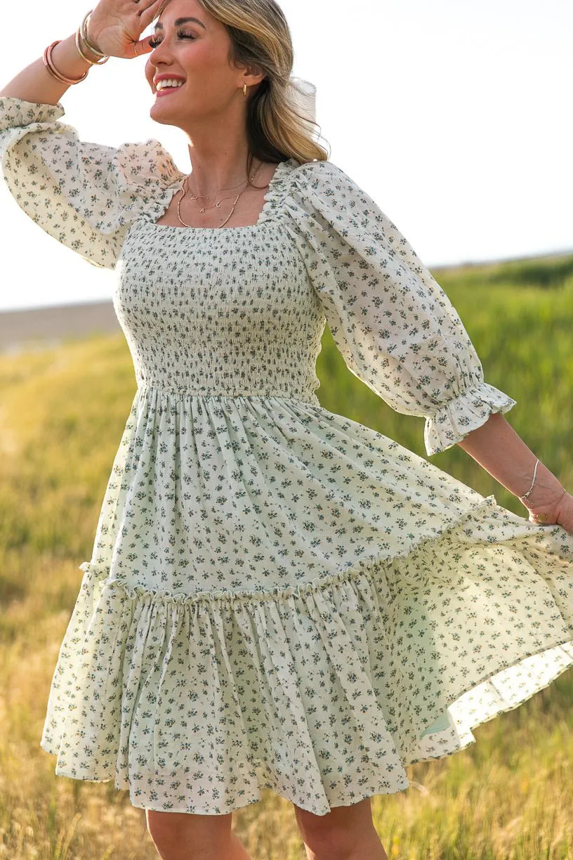 Short Madeline Dress in Blue - FINAL SALE sold by Ivy City Co product image thumbnail 5