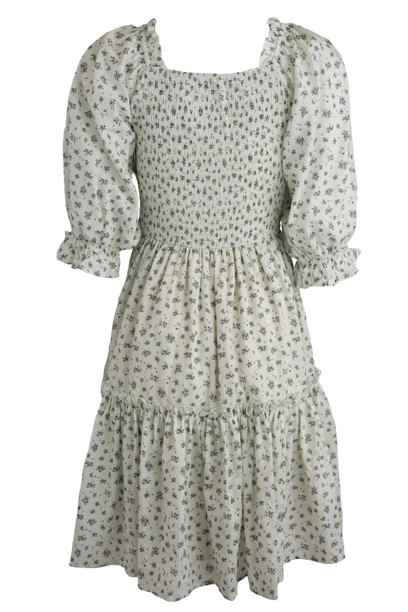 Short Madeline Dress in Blue - FINAL SALE sold by Ivy City Co product image thumbnail 3