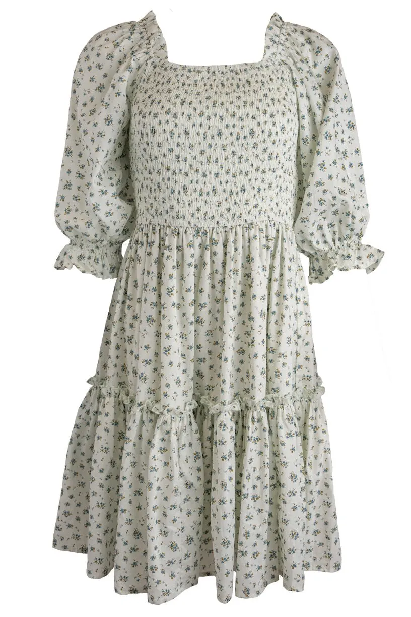 Short Madeline Dress in Blue - FINAL SALE sold by Ivy City Co product image thumbnail 2
