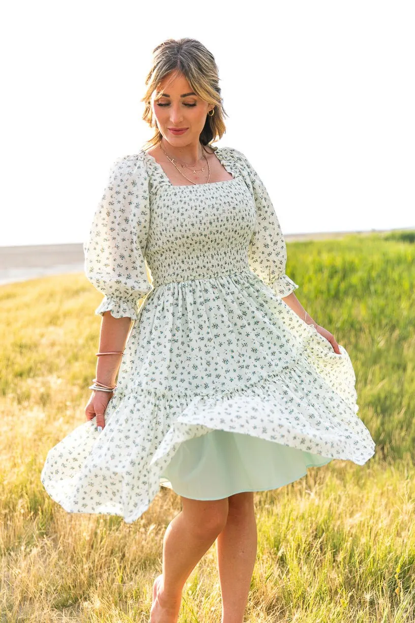 Short Madeline Dress in Blue - FINAL SALE sold by Ivy City Co