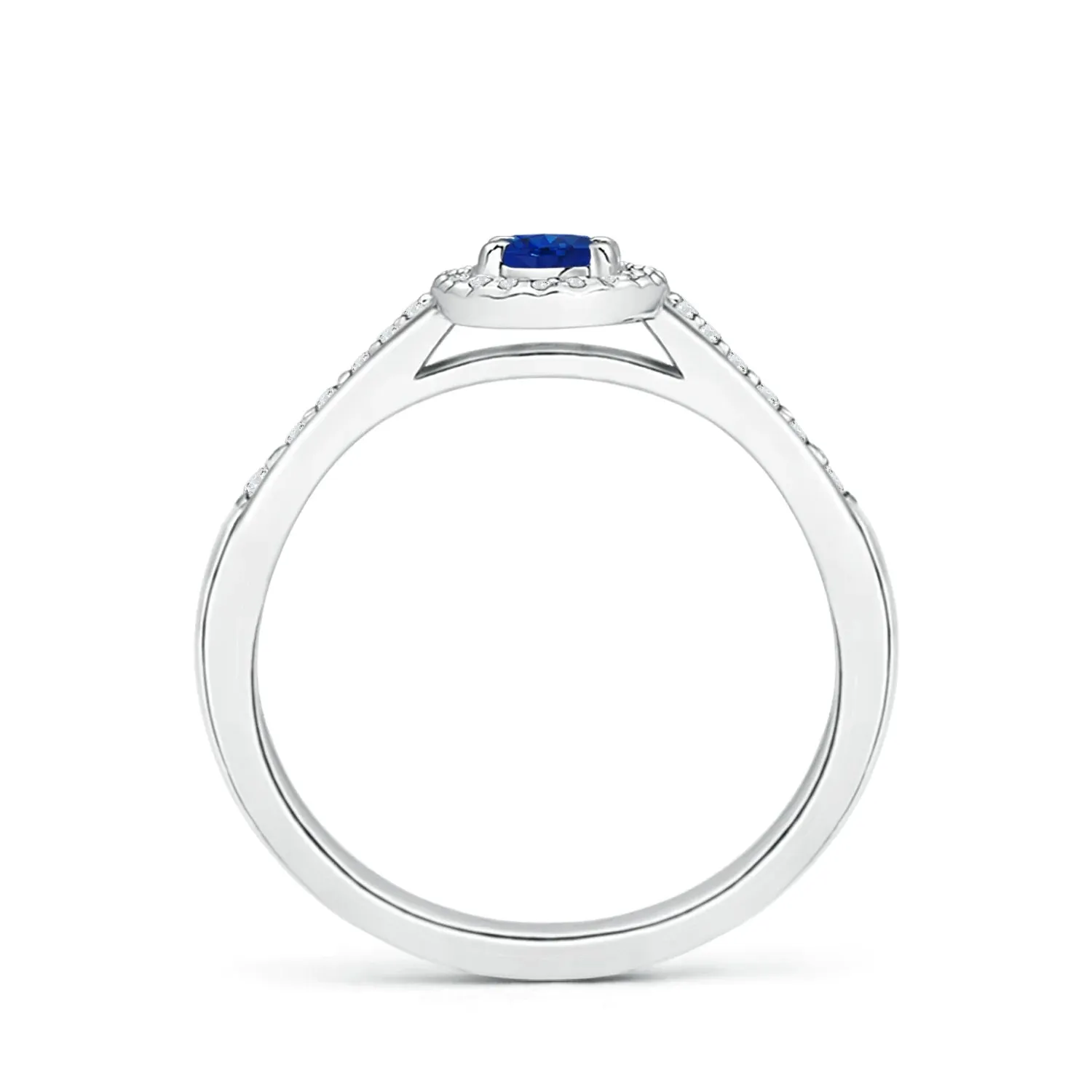 1.5 CT. Oval Blue Sapphire and White Sapphire Halo Micropavé Ring sold by MSBLUE Jewelry product image thumbnail 2