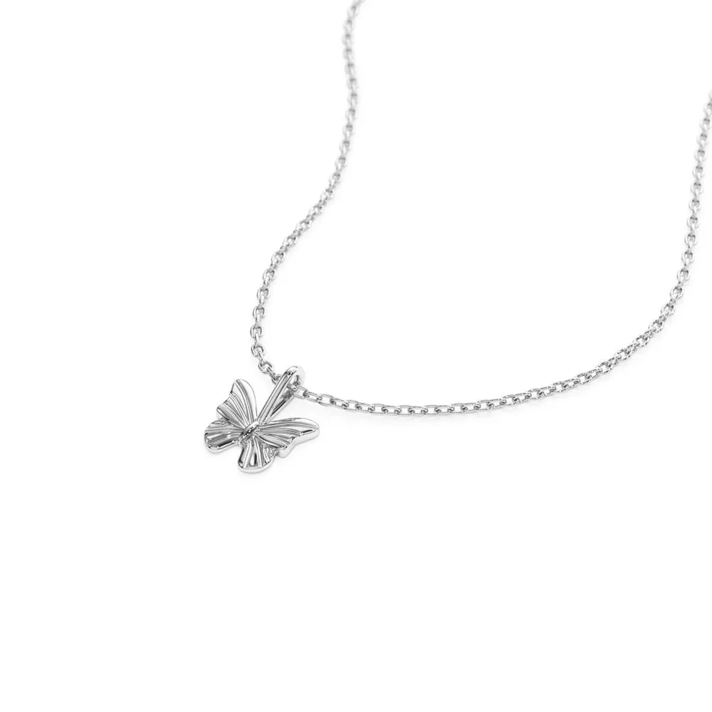 Minimalist Butterfly Charm Necklace sold by MSBLUE Jewelry product image thumbnail 4