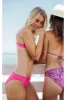 Palm Beach Classic Bikini Bottoms - Pink Hibiscus sold by Sabal Swim