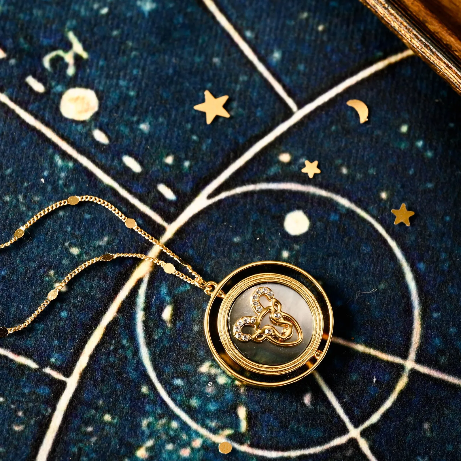 Capricorn Necklace sold by Selenichast product image thumbnail 5