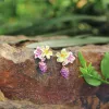Sweet Grape Flower Gift Set with Gift Wrapping sold by Selenichast