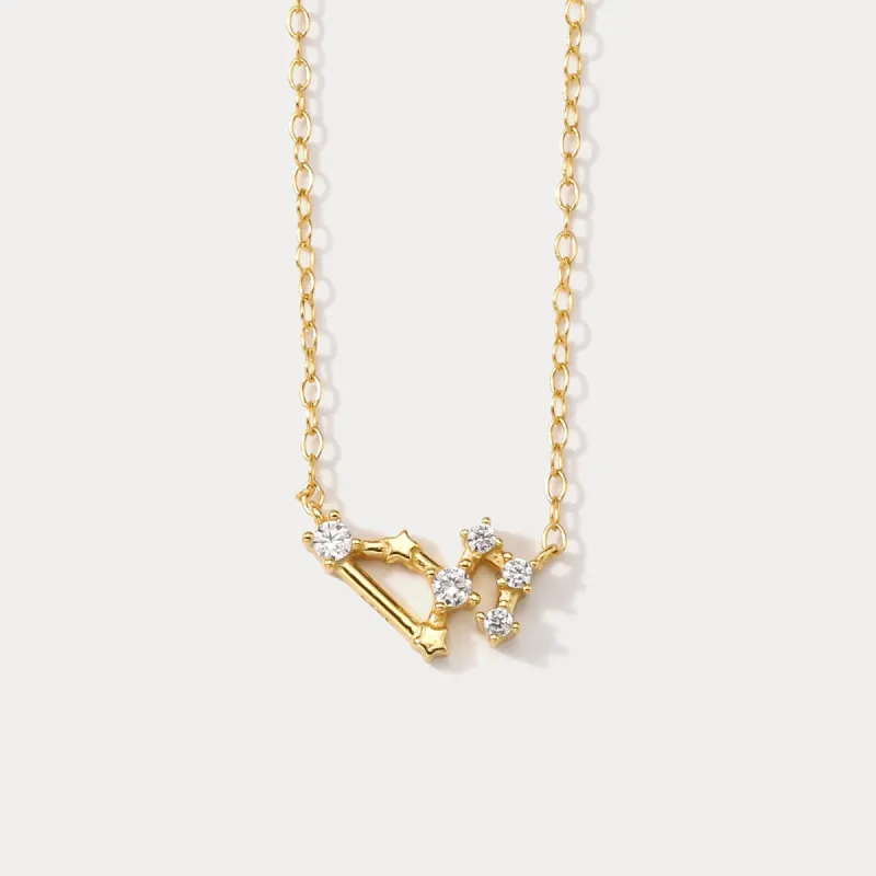 Constellation Silver Necklace - Leo sold by Selenichast