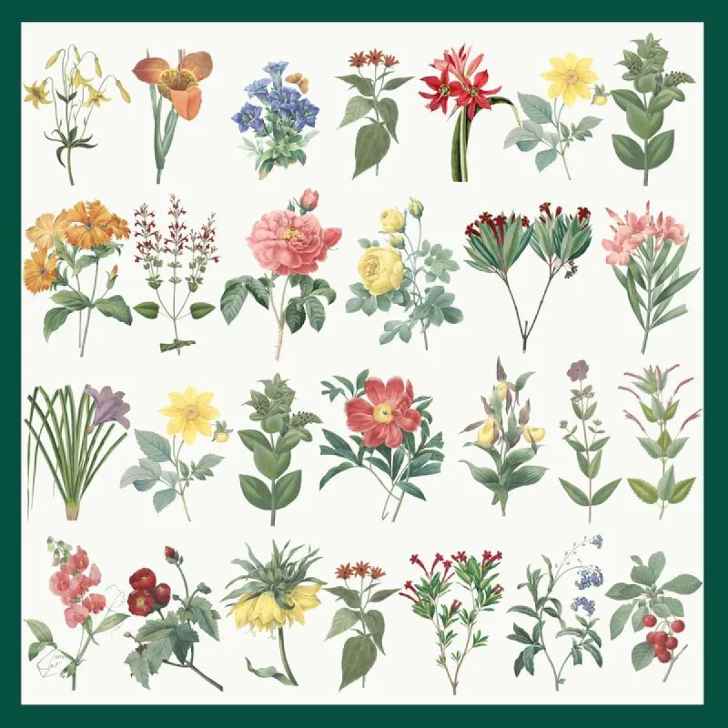 Flower Illustration Square Scarf sold by Selenichast