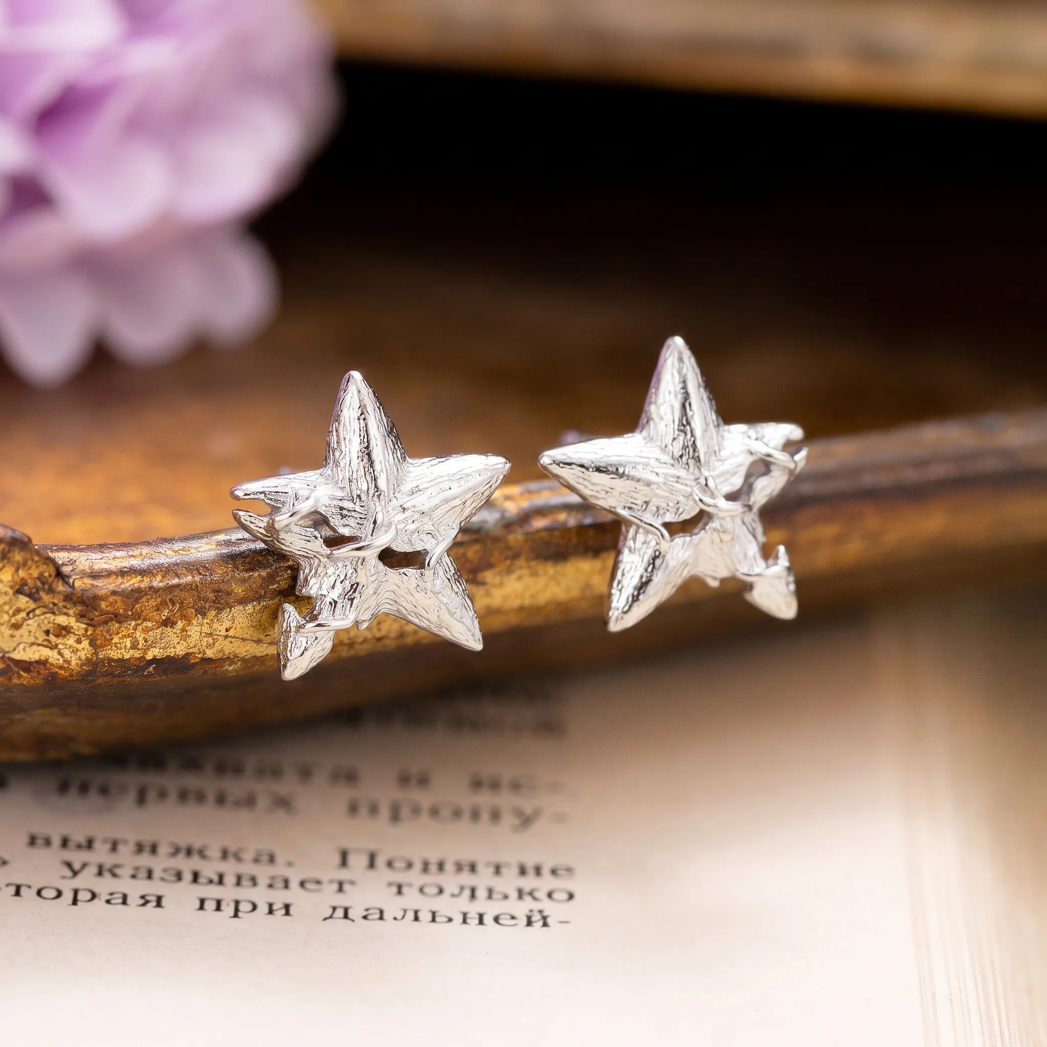 Silver Star Stud Earrings sold by Selenichast product image thumbnail 2